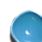 براشینگ آبی کد BLUEBIRD - Image 2