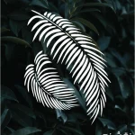 شابلون طرح گل و گیاه کد G12 نقشینو