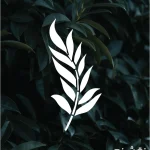 شابلون طرح گل و گیاه کد G15 نقشینو