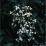 شابلون طرح گل و گیاه کد G16 نقشینو