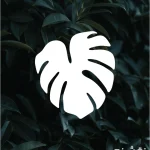 شابلون طرح مینی کد MINI16 نقشینو