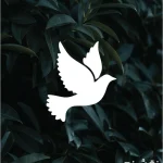 شابلون طرح مینی کد MINI20 نقشینو