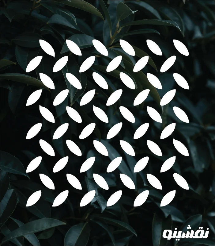 p05 web شابلون طرح پتینه کد P05 نقشینو - Image 1